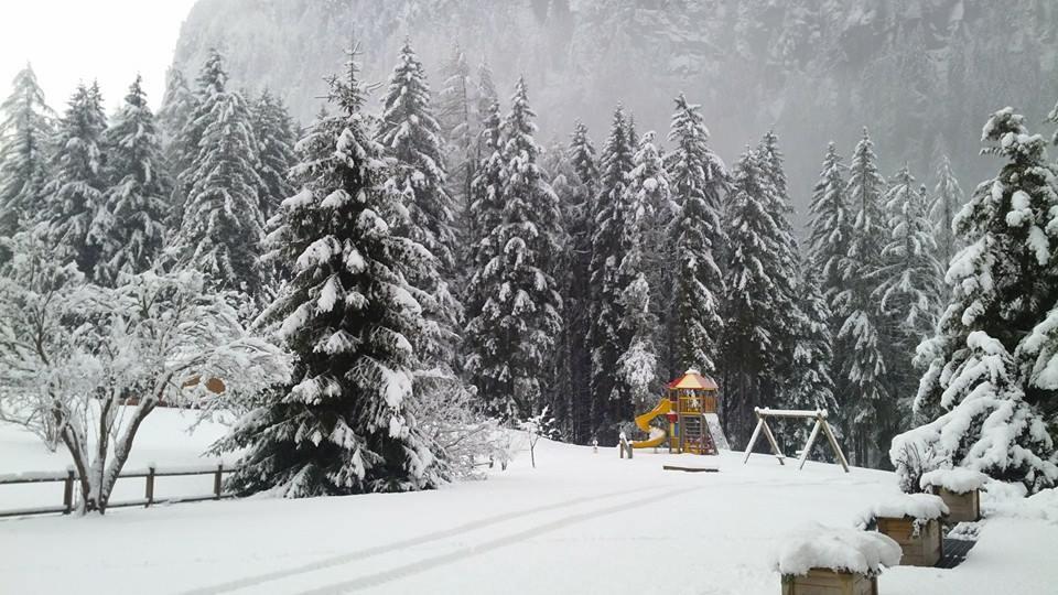 Alpenhotel Panorama Campitello di Fassa Esterno foto